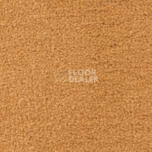 Ковролин Radici Forum Albicocca 2401 фото 1 | FLOORDEALER